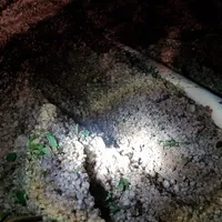 img-20180601-wa0051.jpg