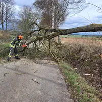 2022-04-07_at_182857_1.jpg