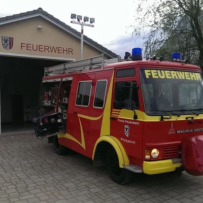 ff-pfalzpaint_tsf1.jpg